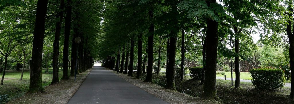 Proposte per i laici alla casa di spiritualita